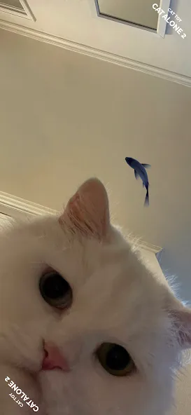 CAT ALONE 2 - Cat Toy — скриншот 2