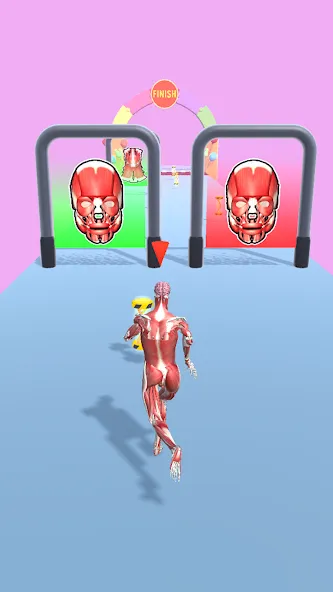 Human Evolution Run — скриншот 5