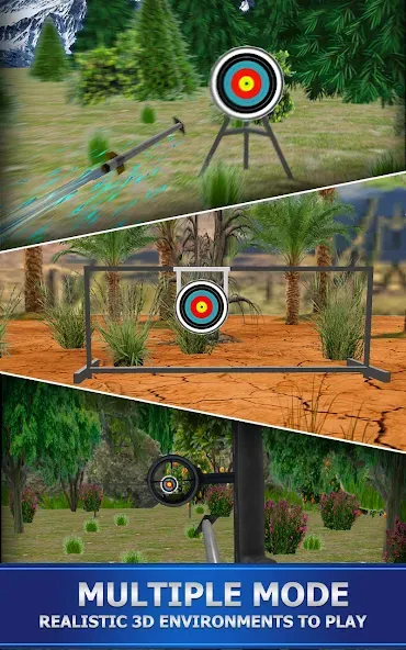 Archery Shoot — скриншот 1