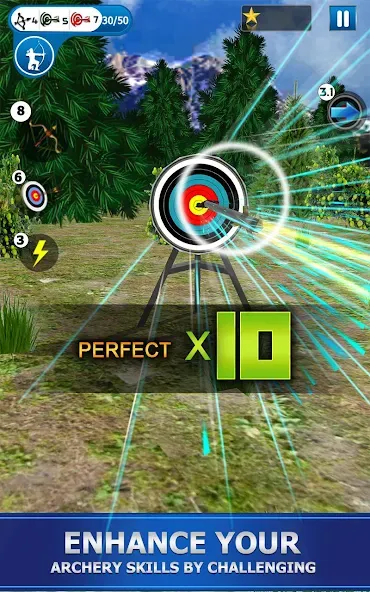 Archery Shoot — скриншот 2