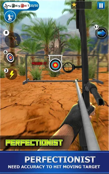 Archery Shoot — скриншот 3