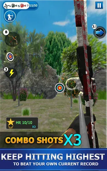 Archery Shoot — скриншот 4