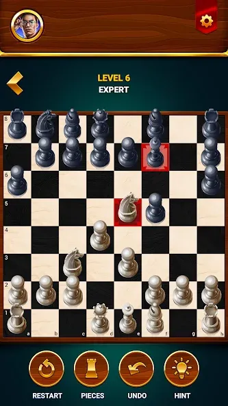 Chess - Offline Board Game — скриншот 3