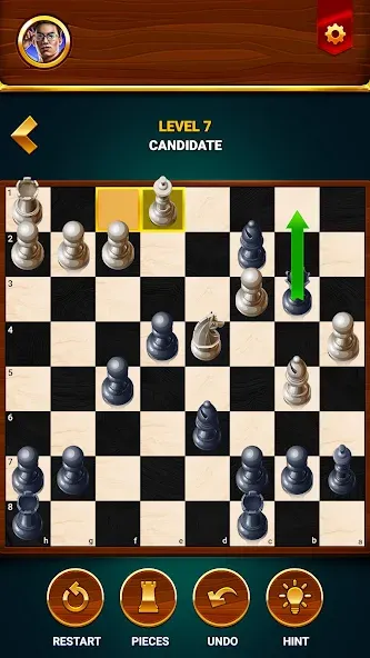 Chess - Offline Board Game — скриншот 5
