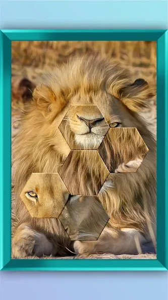 Jigsaw Puzzle - Jigsort Master — скриншот 2