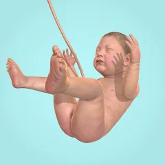 Скачать взломанную Idle 9 Months — Много денег и без рекламы