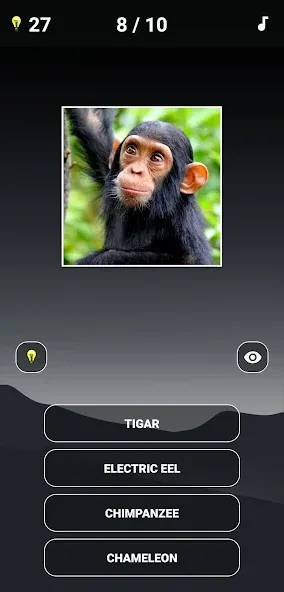 Animal Quiz: Guess the Animal — скриншот 1