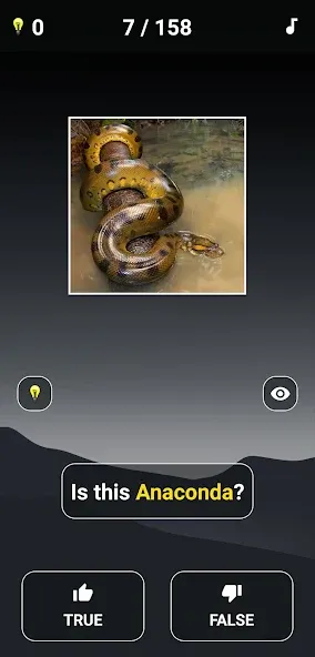 Animal Quiz: Guess the Animal — скриншот 3