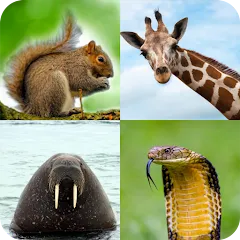 Animal Quiz: Guess the Animal MOD APK — Все подсказки и уровни разблокированы