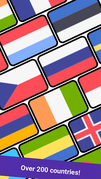 Geomi — Flags & Countries — скриншот 2