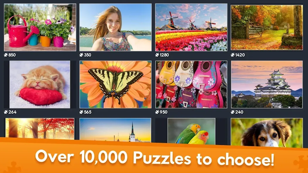 Jigsaw World — скриншот 2