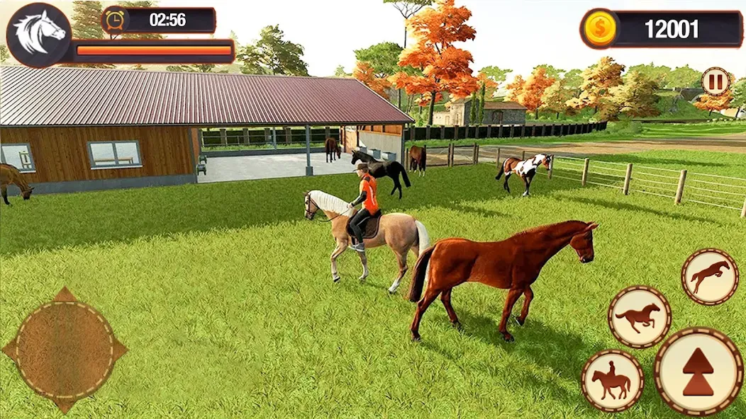 My Horse Herd Care Simulator — скриншот 1