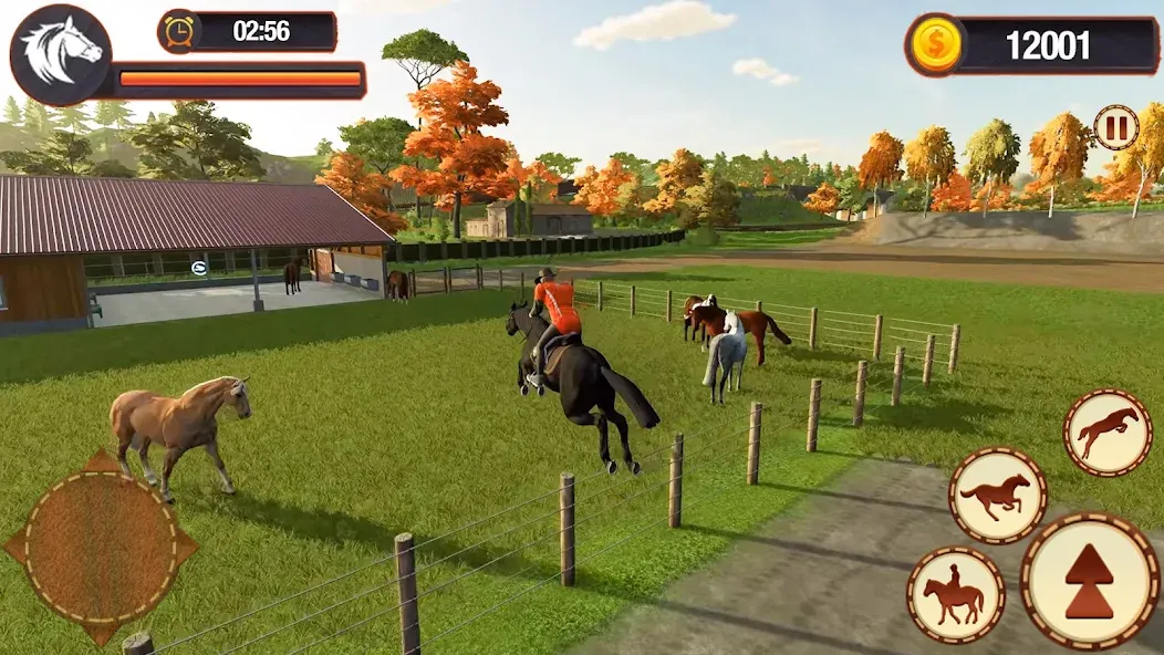 My Horse Herd Care Simulator — скриншот 3