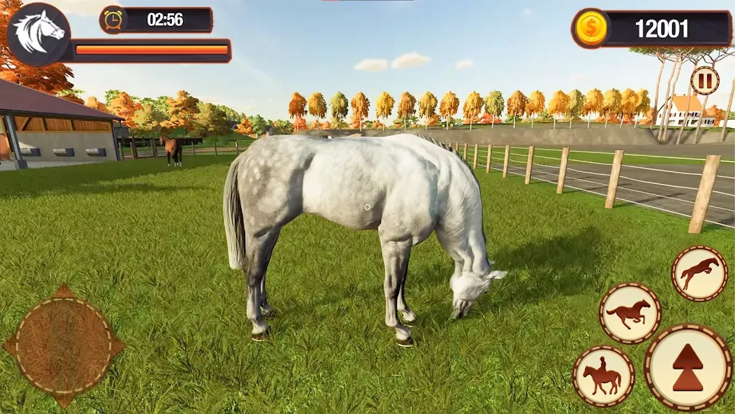 My Horse Herd Care Simulator — скриншот 5