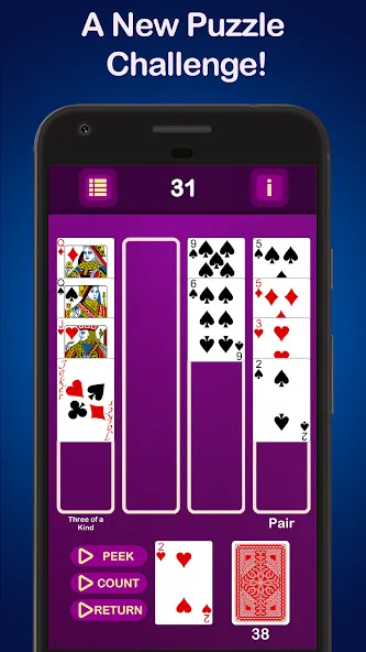 Puzzle Poker Joker's Wild — скриншот 1