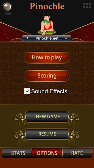 Pinochle.Net — скриншот 2