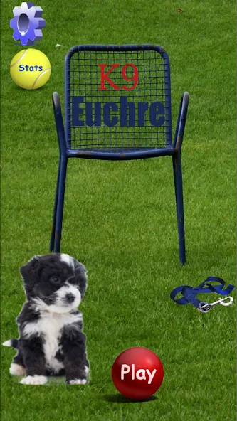 K9 Euchre — скриншот 1