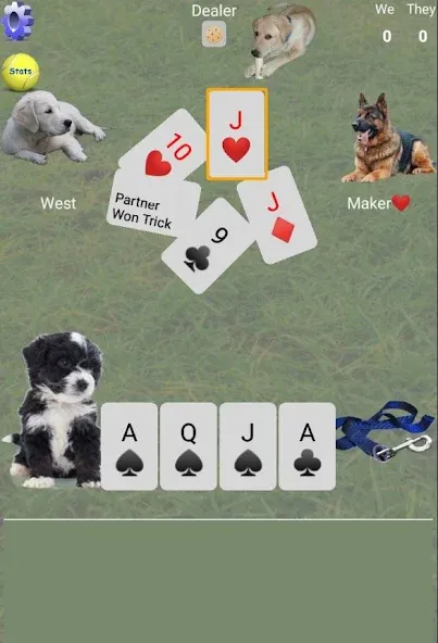 K9 Euchre — скриншот 2