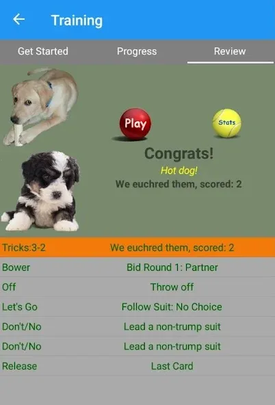 K9 Euchre — скриншот 3