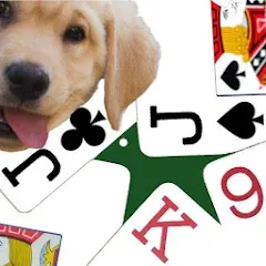 Скачать K9 Euchre MOD на телефон — Всё открыто и без рекламы