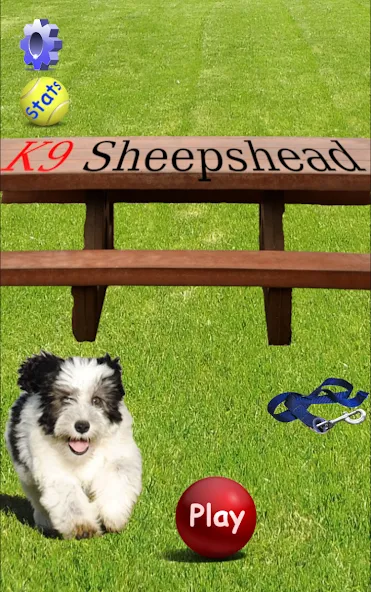 K9 Sheepshead (Schafkopf) — скриншот 1