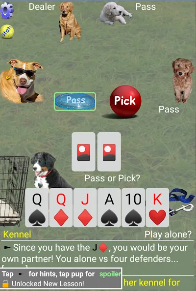 K9 Sheepshead (Schafkopf) — скриншот 2
