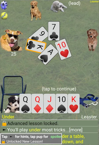 K9 Sheepshead (Schafkopf) — скриншот 4