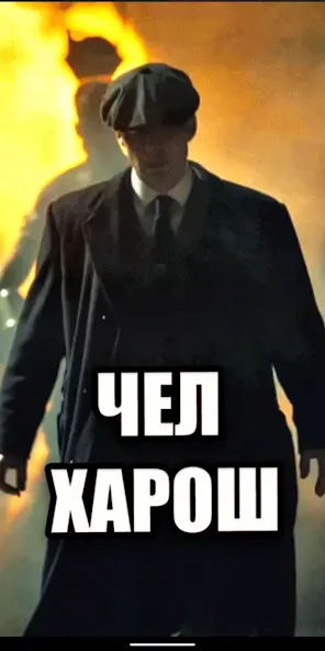 Шелби Харош - Shelby Thomas — скриншот 4