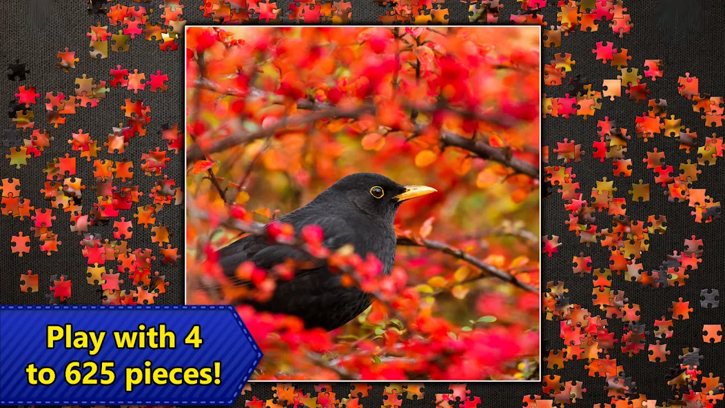Jigsaw Puzzles Epic — скриншот 5