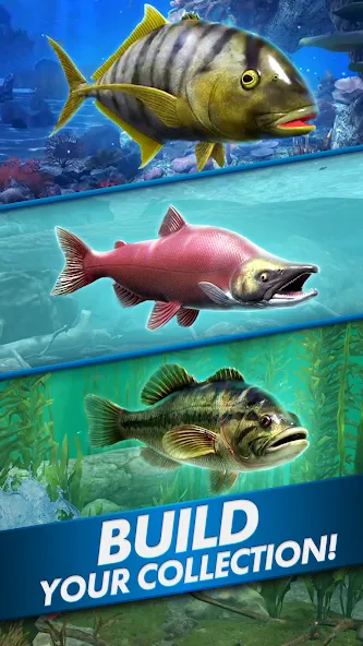 Ultimate Fishing! Fish Game — скриншот 5