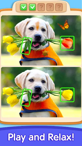 Can You Spot It: Differences — скриншот 3