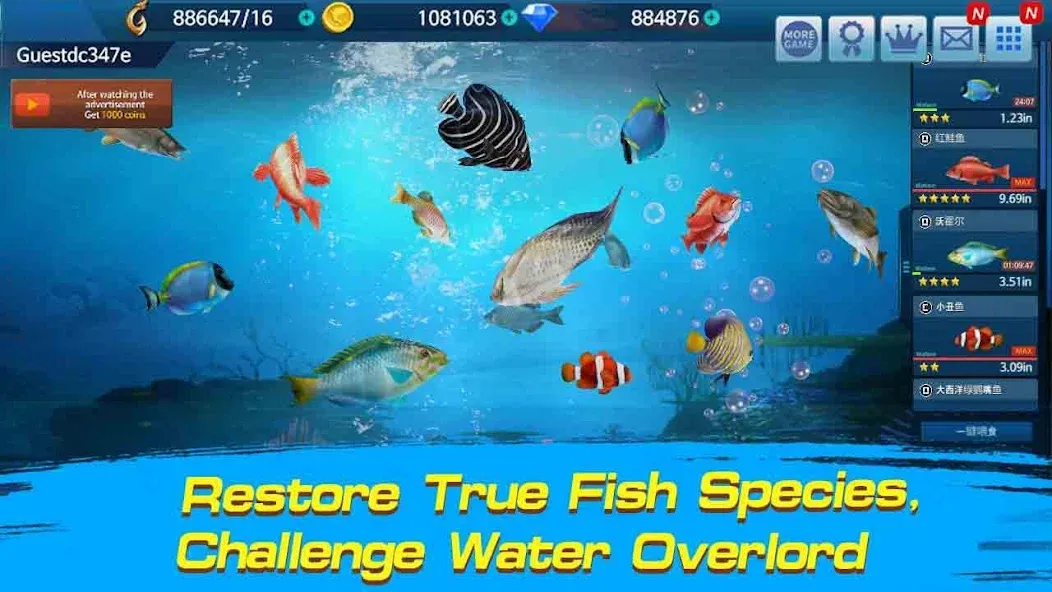 Fishing Championship — скриншот 2