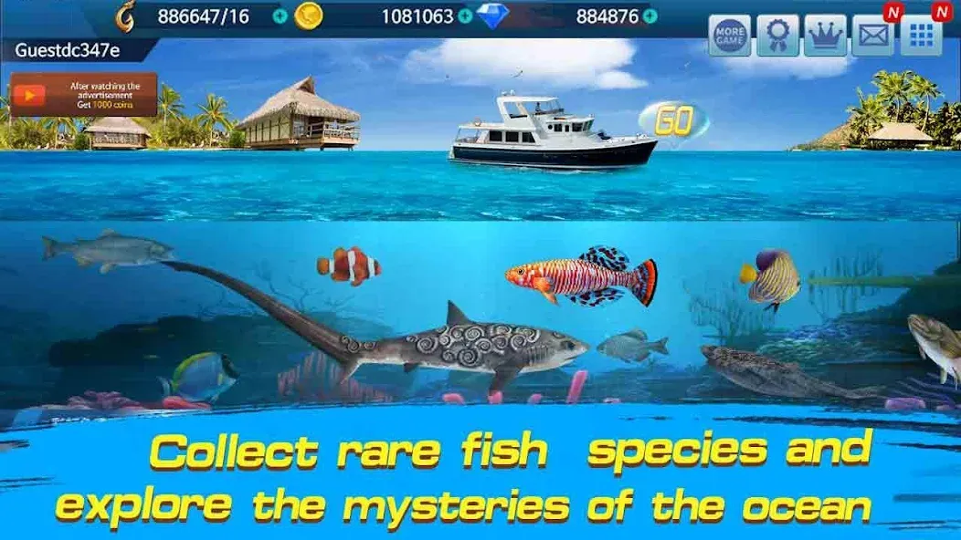 Fishing Championship — скриншот 3