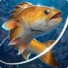 Fishing Hook — MOD Много денег