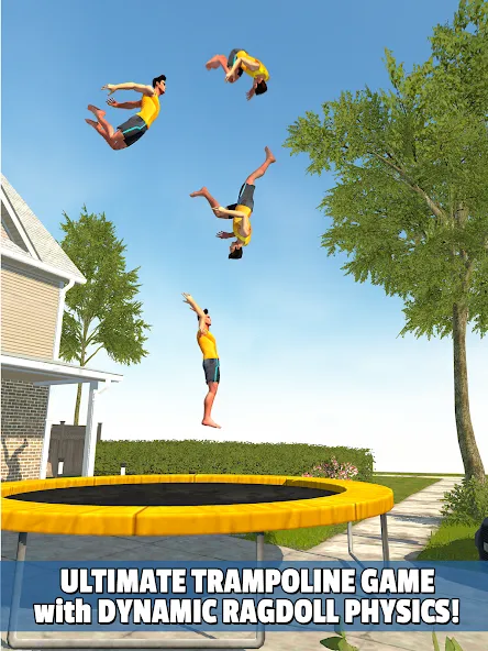 Flip Master — скриншот 4