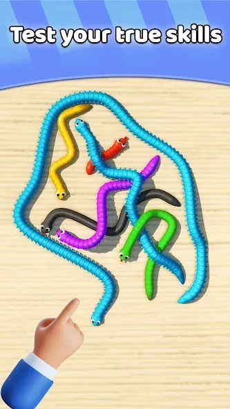 Tangled Snakes Puzzle Game — скриншот 4
