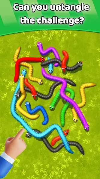Tangled Snakes Puzzle Game — скриншот 5