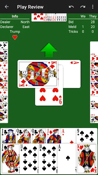 Pinochle - Expert AI — скриншот 5