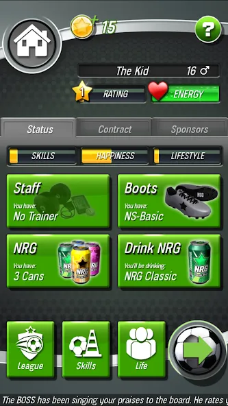 New Star Soccer — скриншот 4
