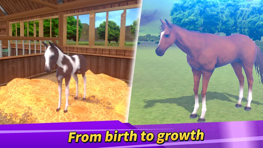 Derby Life : Horse racing — скриншот 2 Derby Life : Horse racing — скриншот 2