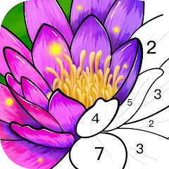 Color Time - Paint by Number MOD APK — Много денег и без рекламы
