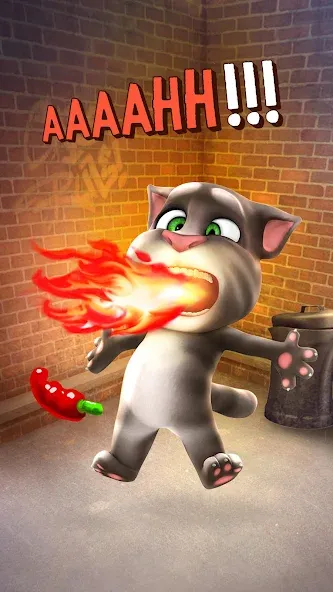 Talking Tom Cat — скриншот 4