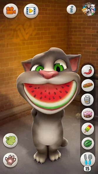 Talking Tom Cat — скриншот 5