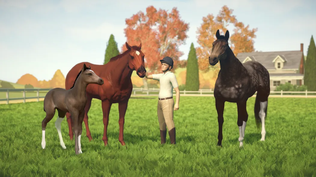 Rival Stars Horse Racing — скриншот 5
