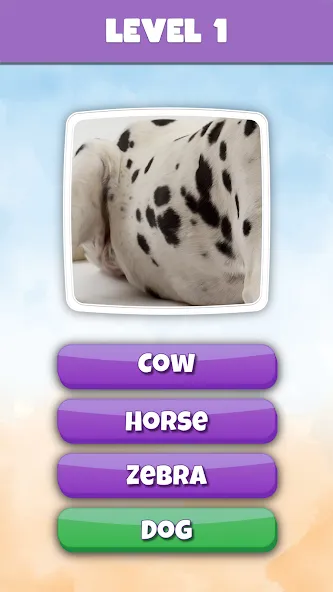 What is it? Pics Trivia Quiz — скриншот 2 What is it? Pics Trivia Quiz — скриншот 2