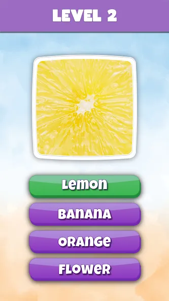 What is it? Pics Trivia Quiz — скриншот 3 What is it? Pics Trivia Quiz — скриншот 3