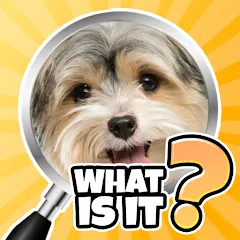 Скачать What is it? Pics Trivia Quiz — МОД Все подсказки открыты