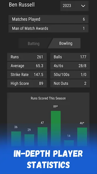 Wicket Cricket Manager — скриншот 5