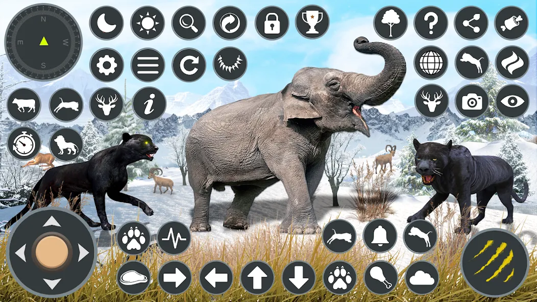 Wild Black Panther Games — скриншот 3