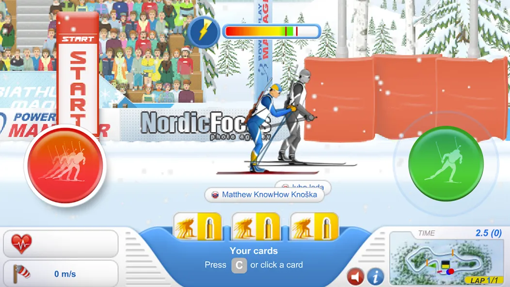 Biathlon Mania — скриншот 1